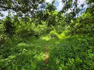 7 Acres land Sale in Hadapangoda