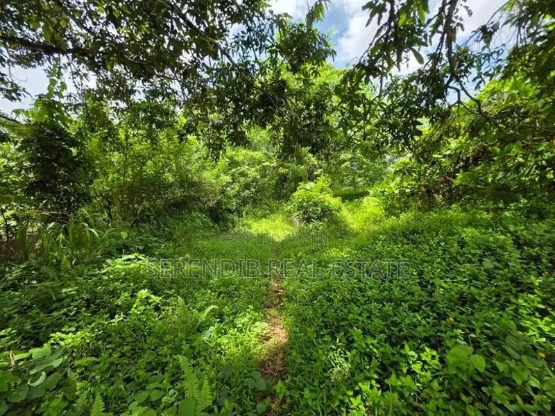 7 Acres land Sale in Hadapangoda