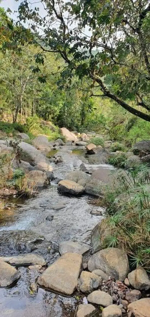 12 Acres land Rent in Matale