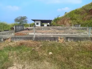 12 Acres land Rent in Matale