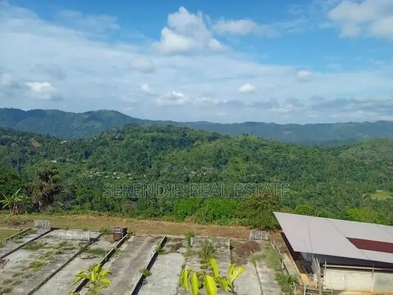 12 Acres land Rent in Matale