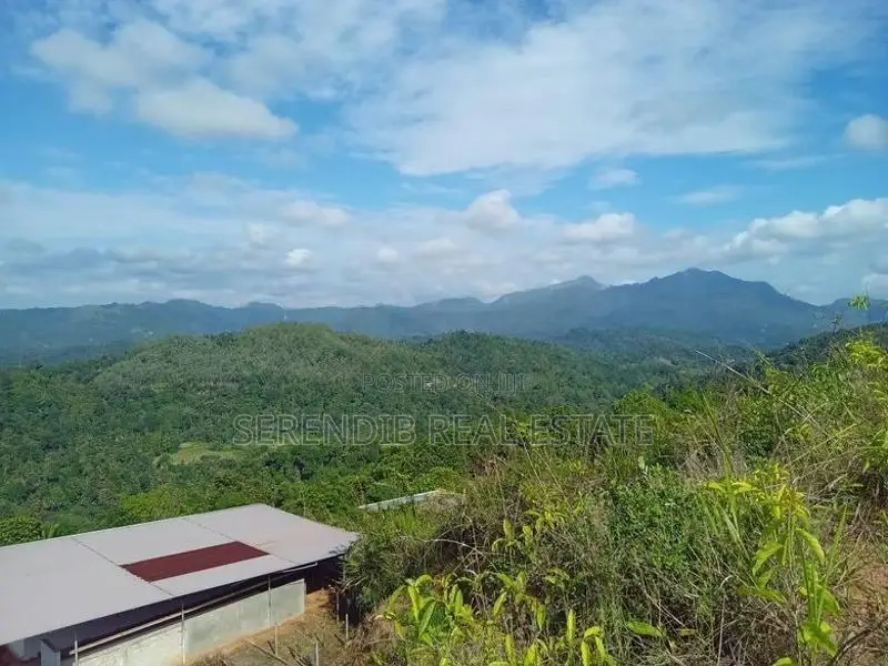 12 Acres land Rent in Matale