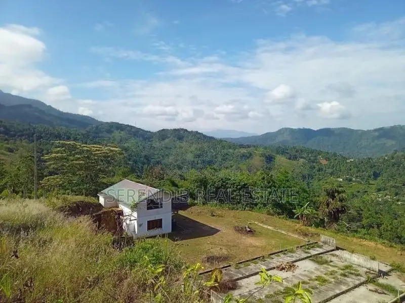 12 Acres land Rent in Matale
