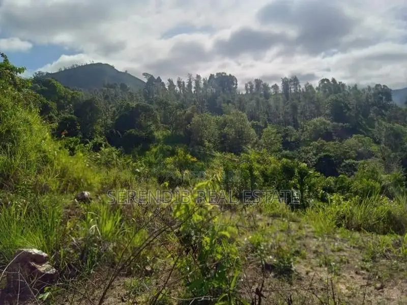 12 Acres land Rent in Matale