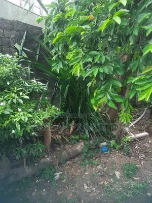 Land For Sale In Bellanvila