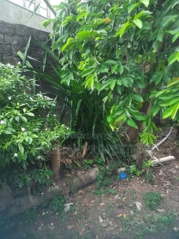 Land For Sale In Bellanvila