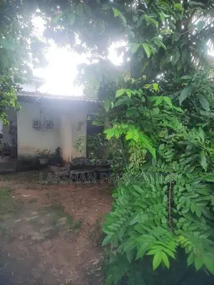 Land For Sale In Bellanvila