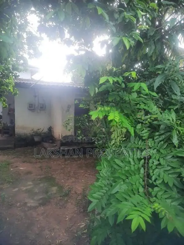 Land For Sale In Bellanvila