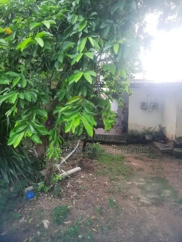 Land For Sale In Bellanvila
