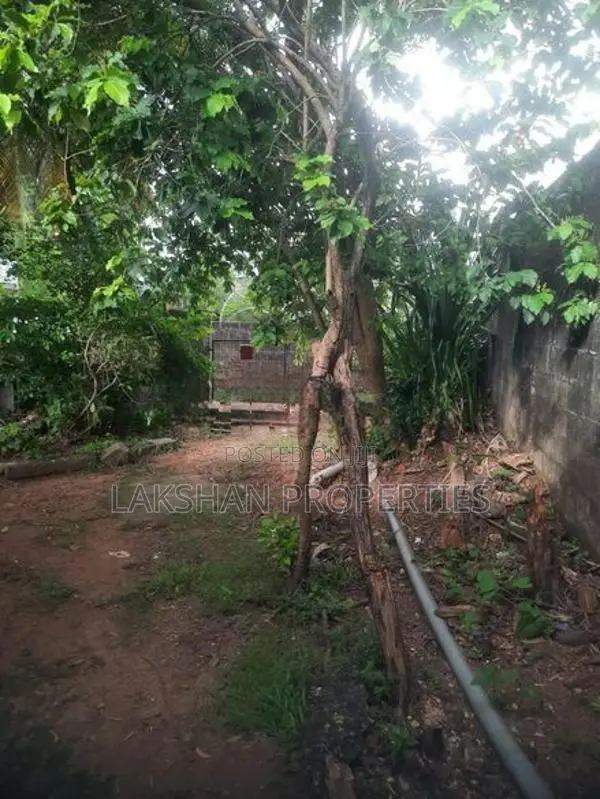 Land For Sale In Bellanvila