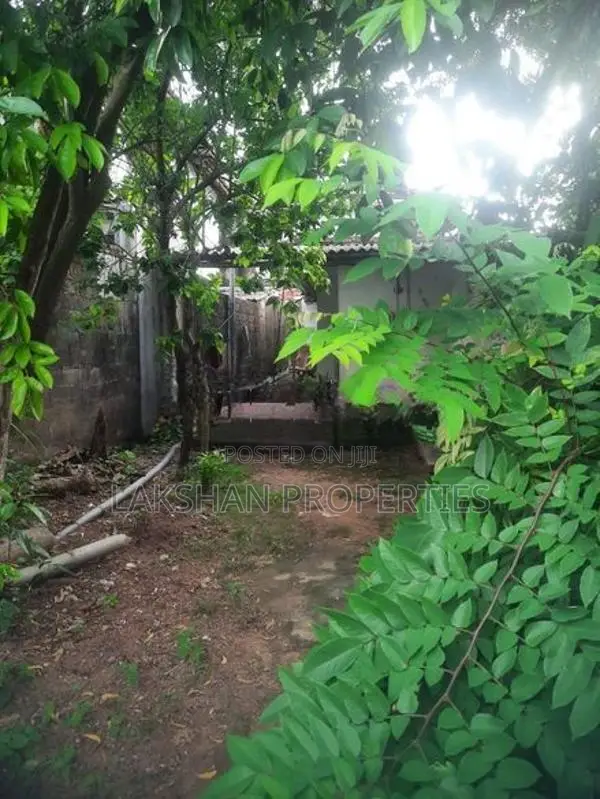 Land For Sale In Bellanvila