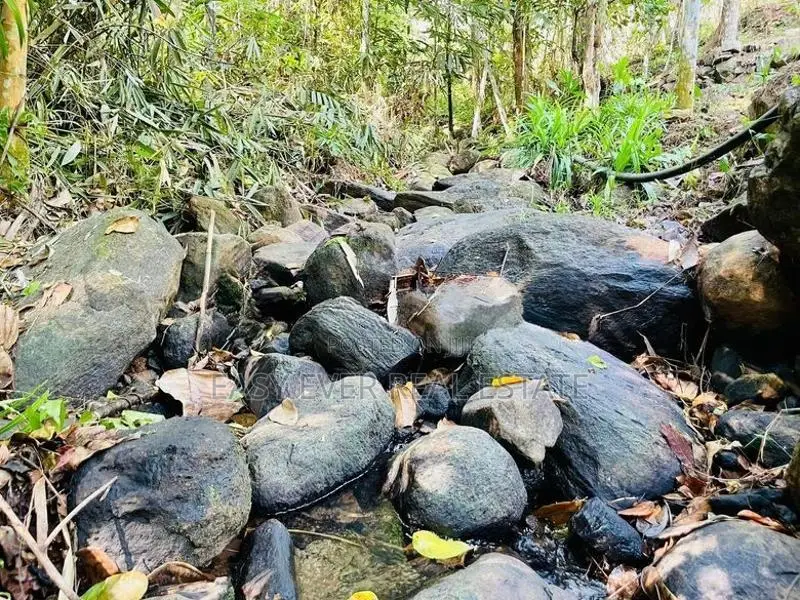 කැලයක් මැද දිය පාරකට මායිම්ව අක්කර බාගයක් සමඟ අඩක් නිම කල විලා එකක්