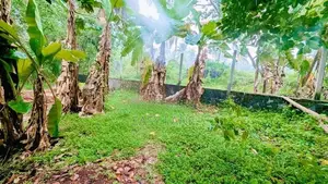 Land for sale in ganemulla