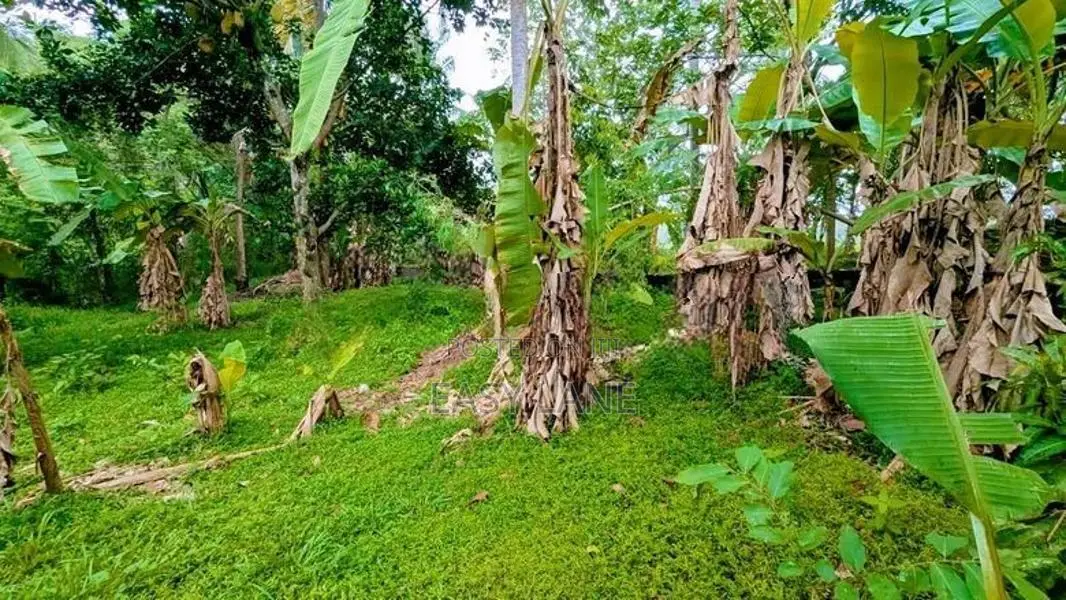 Land for sale in ganemulla