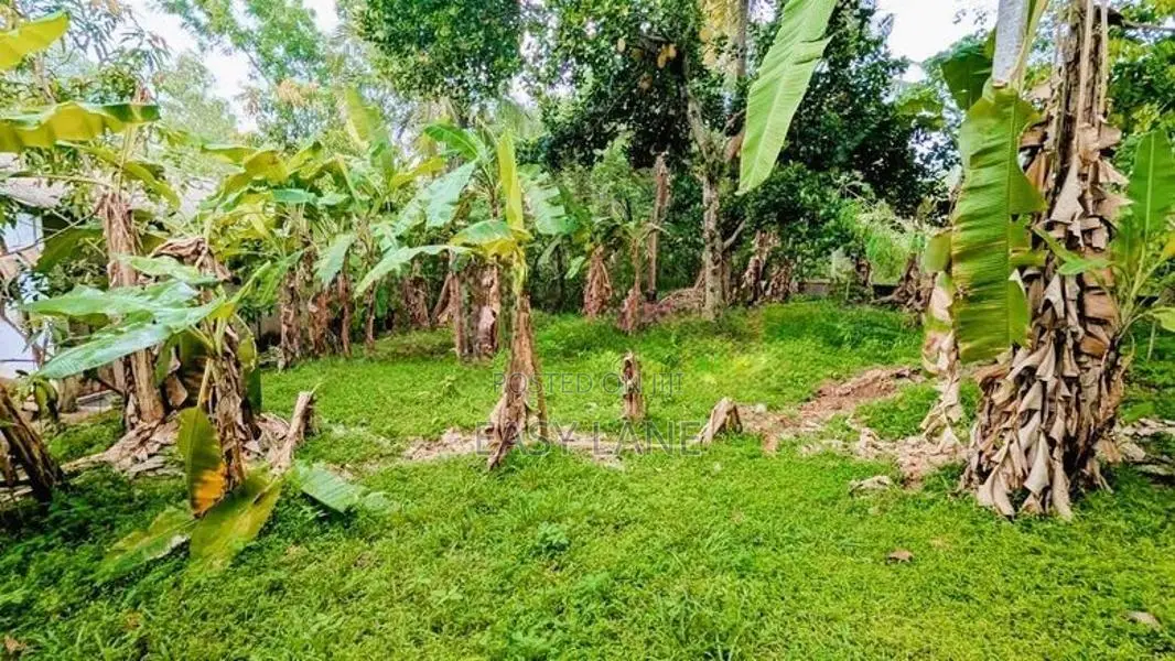 Land for sale in ganemulla