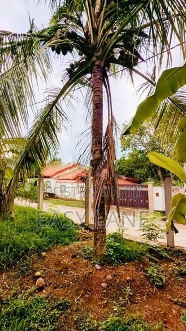Land for sale in ganemulla