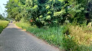 Dambulla Commercial Land For Sale (NK11298)