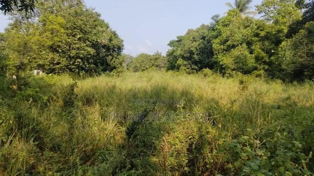 Dambulla Commercial Land For Sale (NK11298)