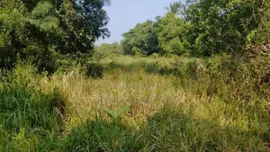 Dambulla Commercial Land For Sale (NK11298)