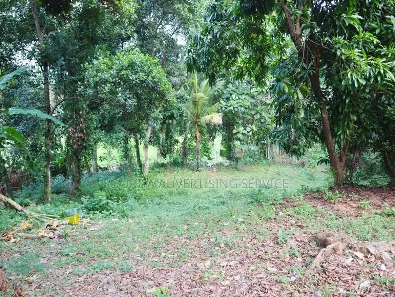Residential Land for Sale in Ja Ela