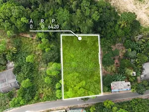 Prime Commercial Land for Sale in Theldeniya