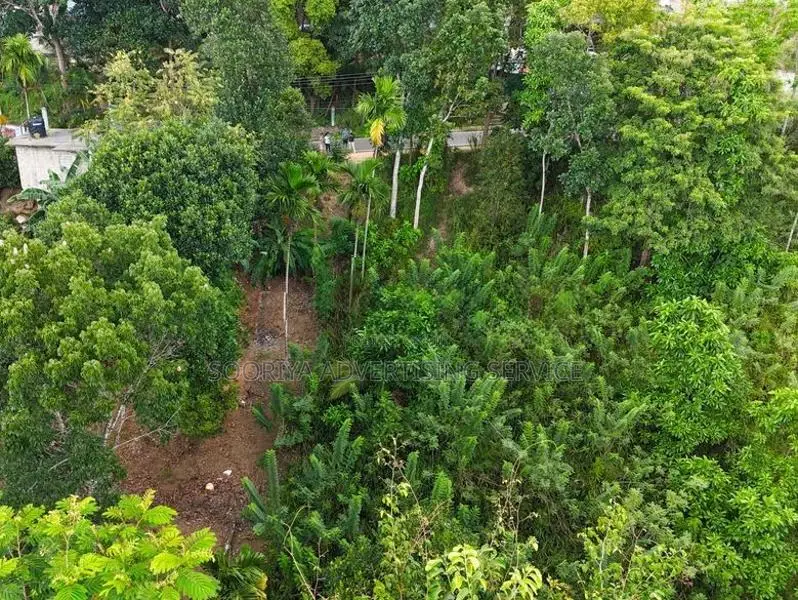 Prime Commercial Land for Sale in Theldeniya