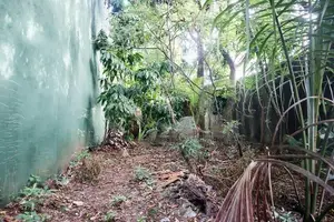 Prime Land with Rental Income for Sale in Bellantara