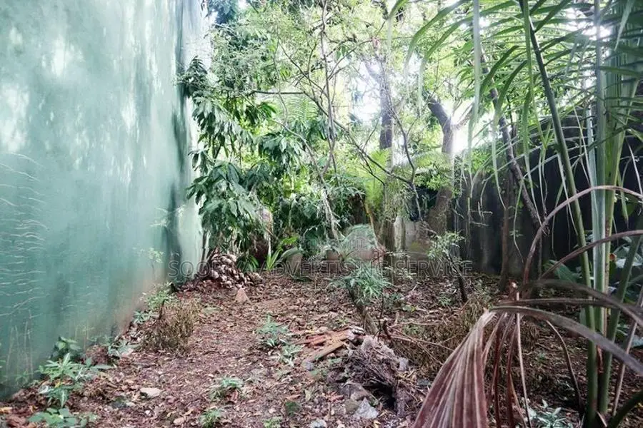 Prime Land with Rental Income for Sale in Bellantara