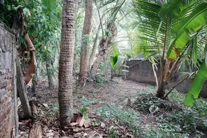 Prime Land with Rental Income for Sale in Bellantara