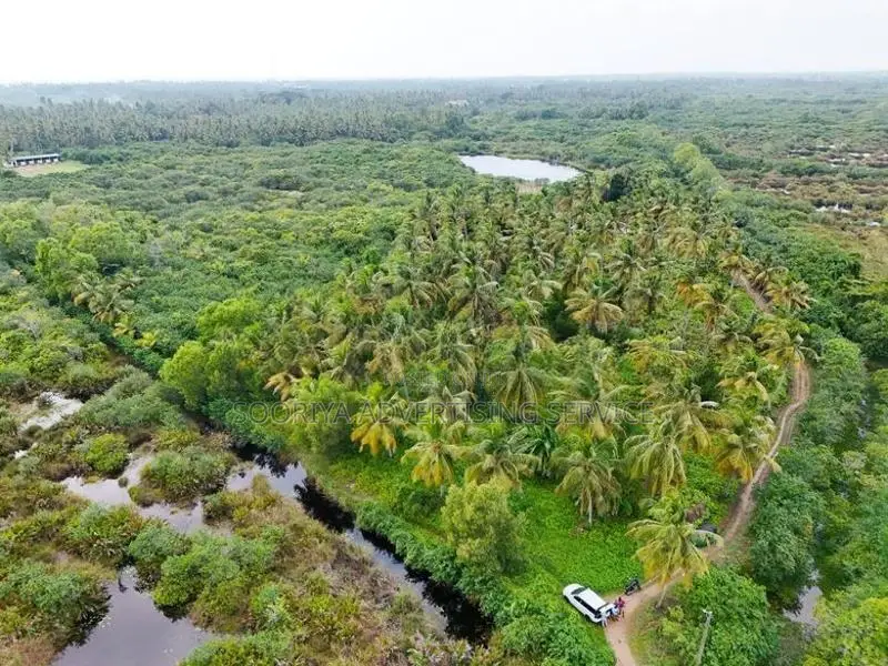 Large Coconut Land for Sale in Wattala