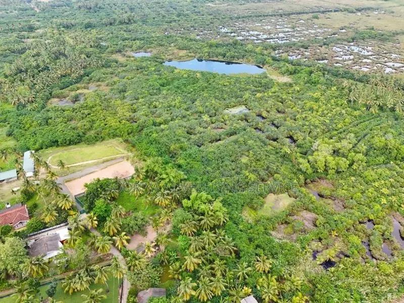 Large Coconut Land for Sale in Wattala
