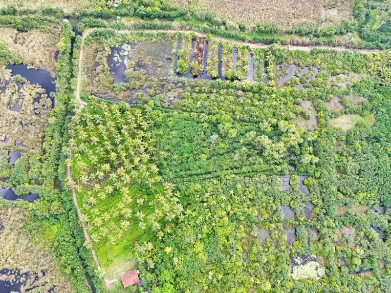Large Coconut Land for Sale in Wattala
