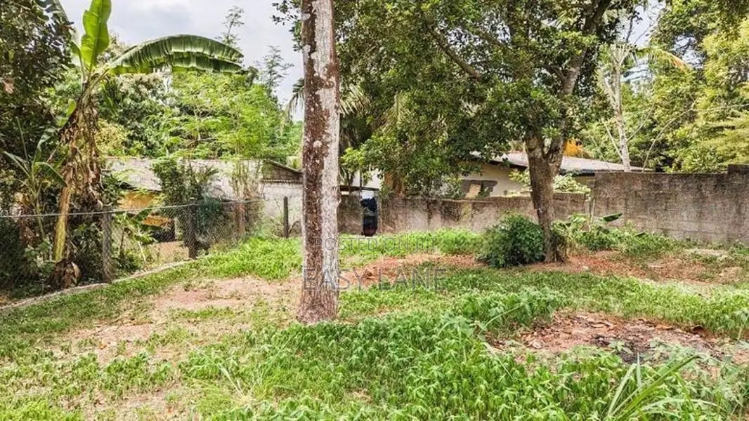 කඩවත නගර සීමාවෙන් – රාගම පාරට ආසන්න ඉඩමක්