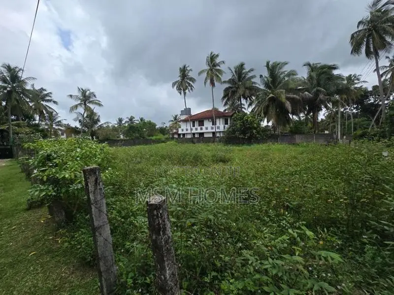 Negombo Valuable Land For Sale in Thibirigaskatuwa
