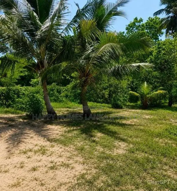 HHL1151-Land for Sale in Sinna Oorani