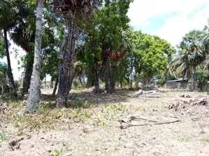 HHL1103 - Land for Sale in Kalkudah