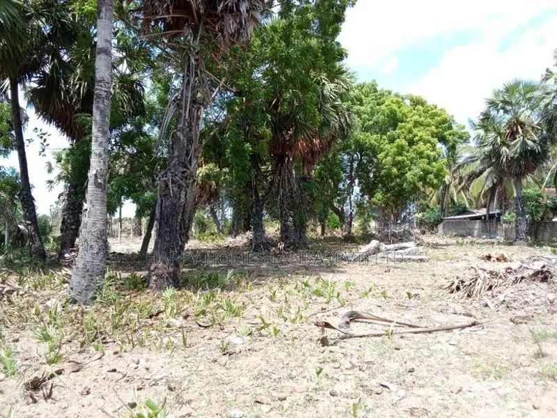 HHL1103 - Land for Sale in Kalkudah
