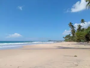 Prime Sea View Land for Sale in Dickwella Near Maaliyadda Beach