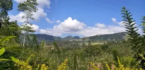 Galaha Bellwood Land for Sale with Panoramic View