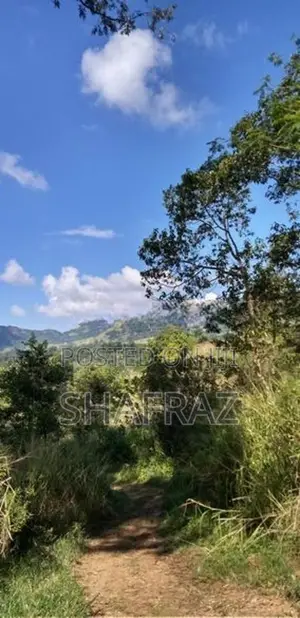 Galaha Bellwood Land for Sale with Panoramic View