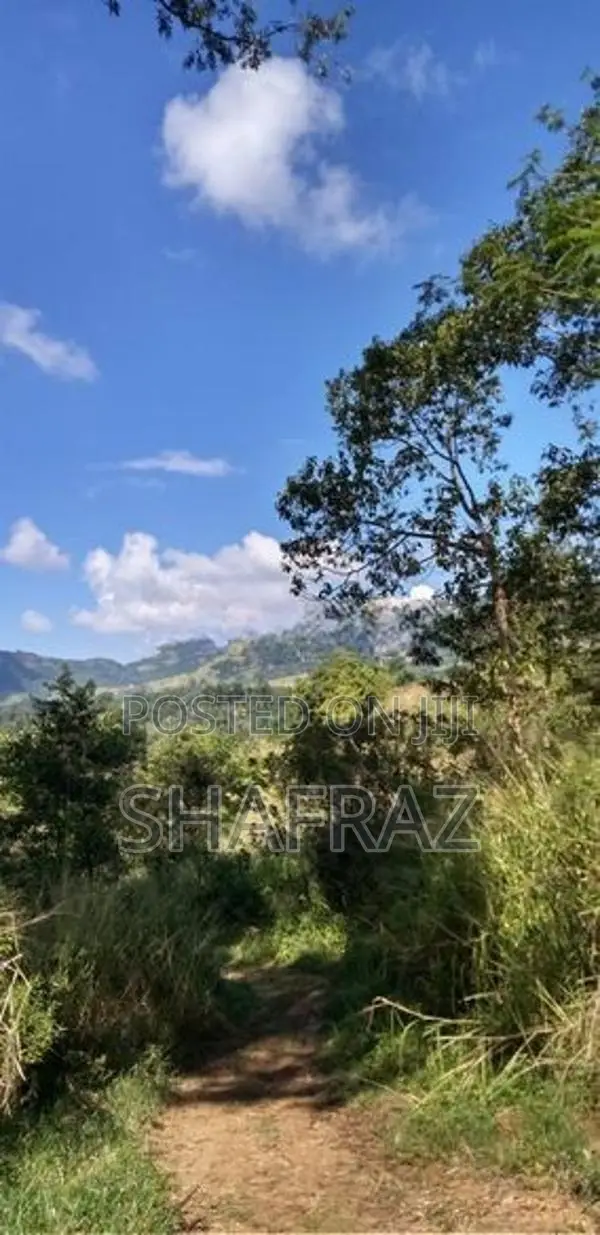 Galaha Bellwood Land for Sale with Panoramic View