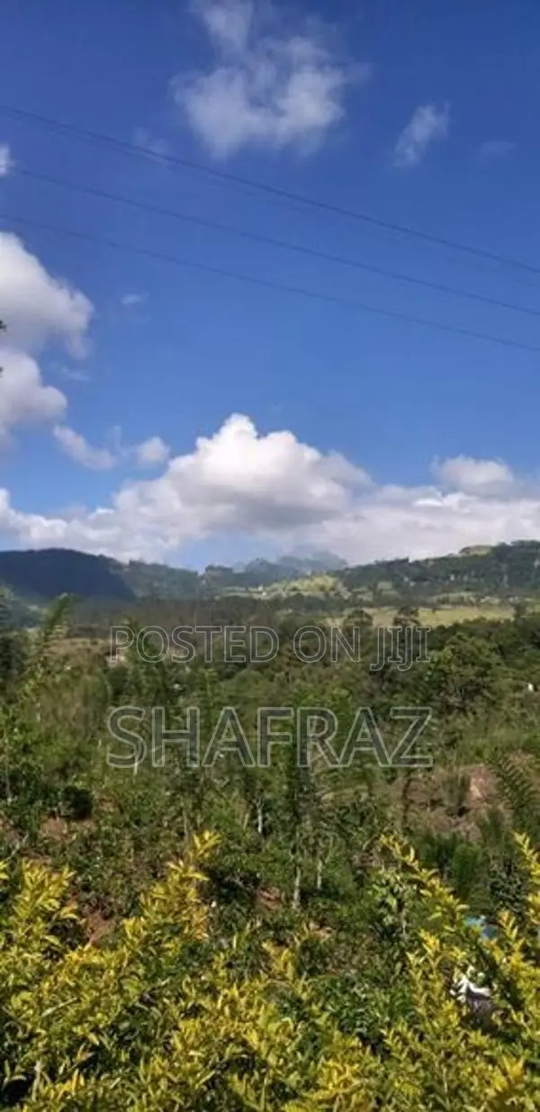 Galaha Bellwood Land for Sale with Panoramic View