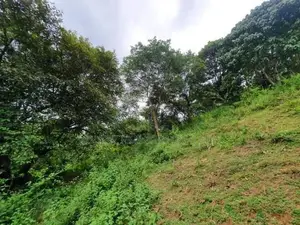 109 Perch Scenic Land for Sale – Kegalle (Rambukkana Road)