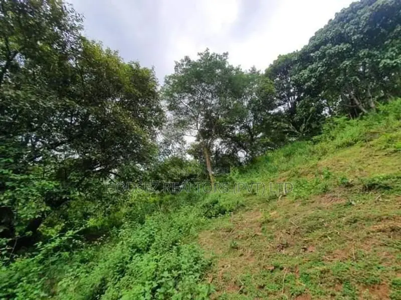 109 Perch Scenic Land for Sale – Kegalle (Rambukkana Road)