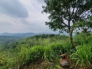 109 Perch Scenic Land for Sale – Kegalle (Rambukkana Road)