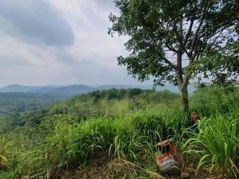 109 Perch Scenic Land for Sale – Kegalle (Rambukkana Road)