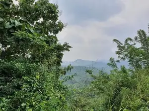 109 Perch Scenic Land for Sale – Kegalle (Rambukkana Road)