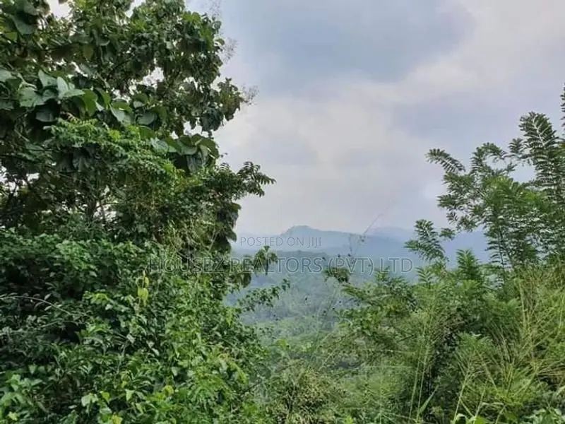 109 Perch Scenic Land for Sale – Kegalle (Rambukkana Road)