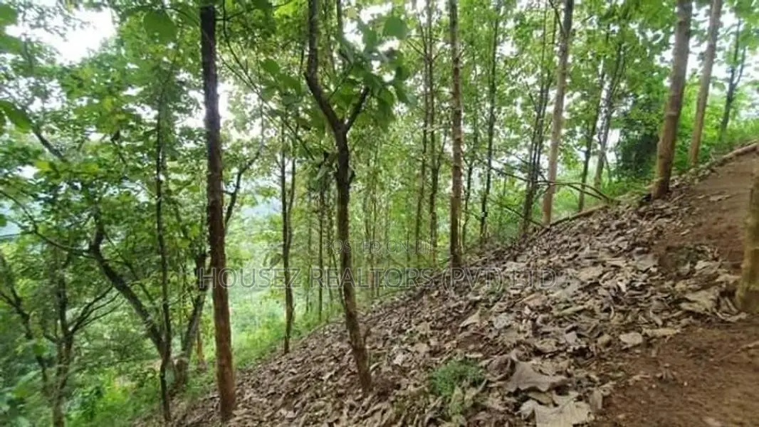 109 Perch Scenic Land for Sale – Kegalle (Rambukkana Road)