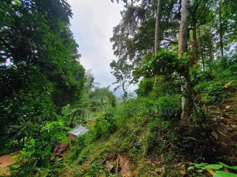 109 Perch Scenic Land for Sale – Kegalle (Rambukkana Road)
